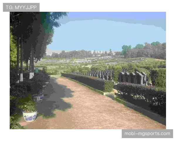 成都凤凰山医疗室人满为患 伤病名单长度令人倒吸凉气